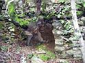 CURIOSITE DE LA NATURE